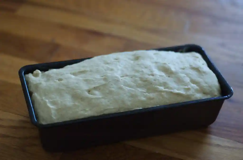 Place the shaped dough in the baking pan