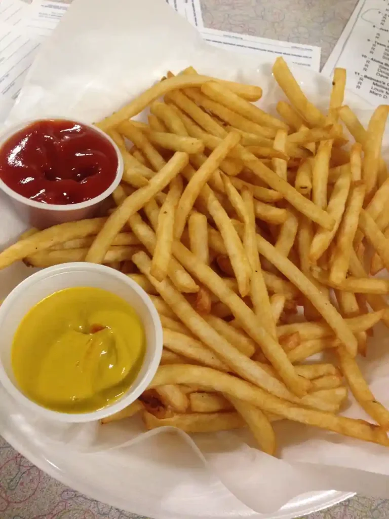 Frozen Fries in Air Fryer